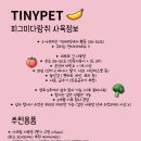 티니펫 이미지