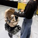 아발론2 | 아발론 투고라이트2 맥스 강아지 유모차 내돈내산 후기