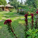 초가정원 이미지