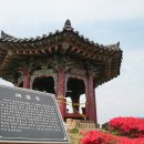 완도중학교앞 Daum카페