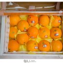 현승농장 이미지