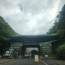 대웅사 | 대구 동화사 방문후기