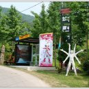 장성편백체험장 이미지