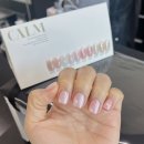 버스정류장 05-116 | 청주네일샵 방서동네일 슬릭 : 여리여리 파우더네일 솔직후기