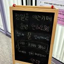 댕댕존 이미지
