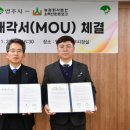 소백산 한돈 이미지