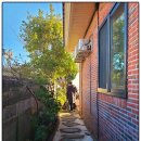 강정동-57 이미지