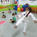 최강키즈태권도장 이미지