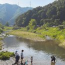 포천 그린별캠핑장 27번, 28번 사이트, 넓은 계곡이 있어 아이랑 가기 좋은 서울 근교 2박 3일 (4세)