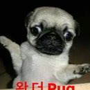 월