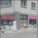 핑크퍼피 이미지