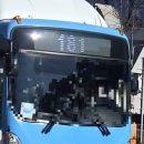 2022-주181 이미지