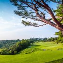 양지 스크린 골프존 이미지