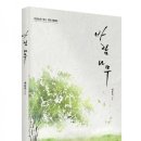 바람나무
