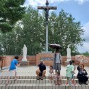 박해목장 이미지