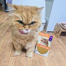 꿀단지약국 네이버블로그