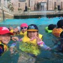 월드 연무관 합기도 이미지