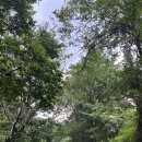 한마음카랜드 이미지