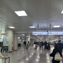 T-카 | 제주도 렌트카 가격 비교 후 카카오T 예약 후기