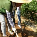 심우농장 이미지