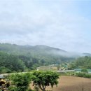 매화산목장 이미지