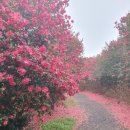 연님농장 이미지