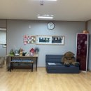 라온하제펜션