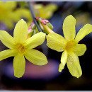 수입리민박 이미지