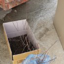 덕곡우체국 이미지