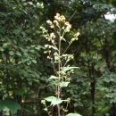 도감민박 이미지