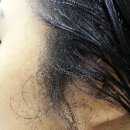 미용고수 이미지