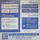 둔산동 픽베이크 에그타르트 후기｜솔드아웃 피해서 드디어 먹어봄