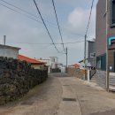 조천리금대 이미지