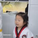 상무석사태권도 이미지