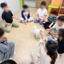 양지초등학교1 이미지