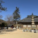한두레 | 🍁 자연 속에서 함께한 세종사업장 야유회, 한두레 생생 후기