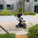 (주)네바퀴자동차 | 누비앤타보 트라이크 트래블러 S4 _ 유아차 거부 극복한 돌 전후 아기 내돈내산 사용 후기