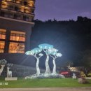 포레스트 리솜 이미지