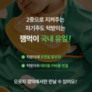 주도 | 신상 잼먹 자기주도 턱받이 내돈내산 추천 후기 이유식 유아식 턱받이 추천