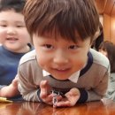 재영목장 이미지