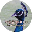 아르몬마켓 | [호주 퍼스 여행] 마무리 - 후기, 많이 받았던 질문에 대한 답변 ★