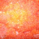 연어아저씨 이미지