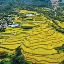 사포마을 이미지