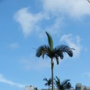 골드코스트 호텔 이미지