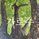 읍사무소 앞 버스승강장 이미지