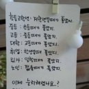 뽑아죠 이미지