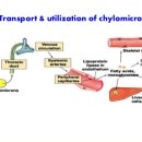 조암경희한의원 이미지