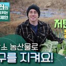 공동의 집 지구를 위한 전주교구 추천영상-18. 저탄소 농산물로 지구를 지켜요! 이미지