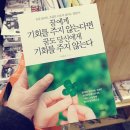 비비남