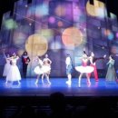 댄싱뮤지엄(서울발레시어터) 이미지